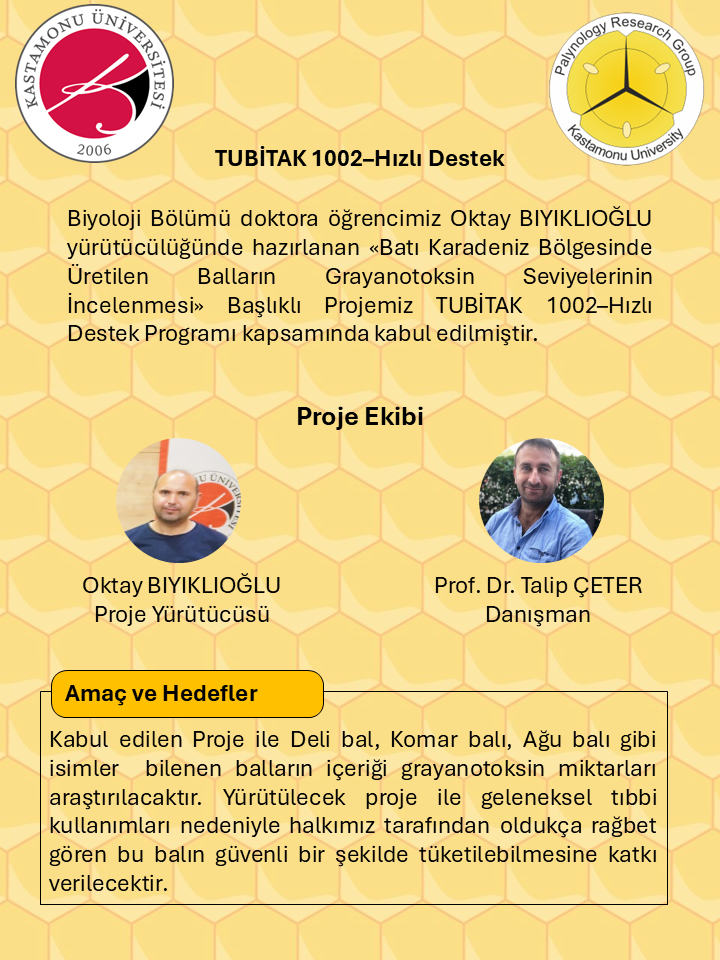 Alt Text